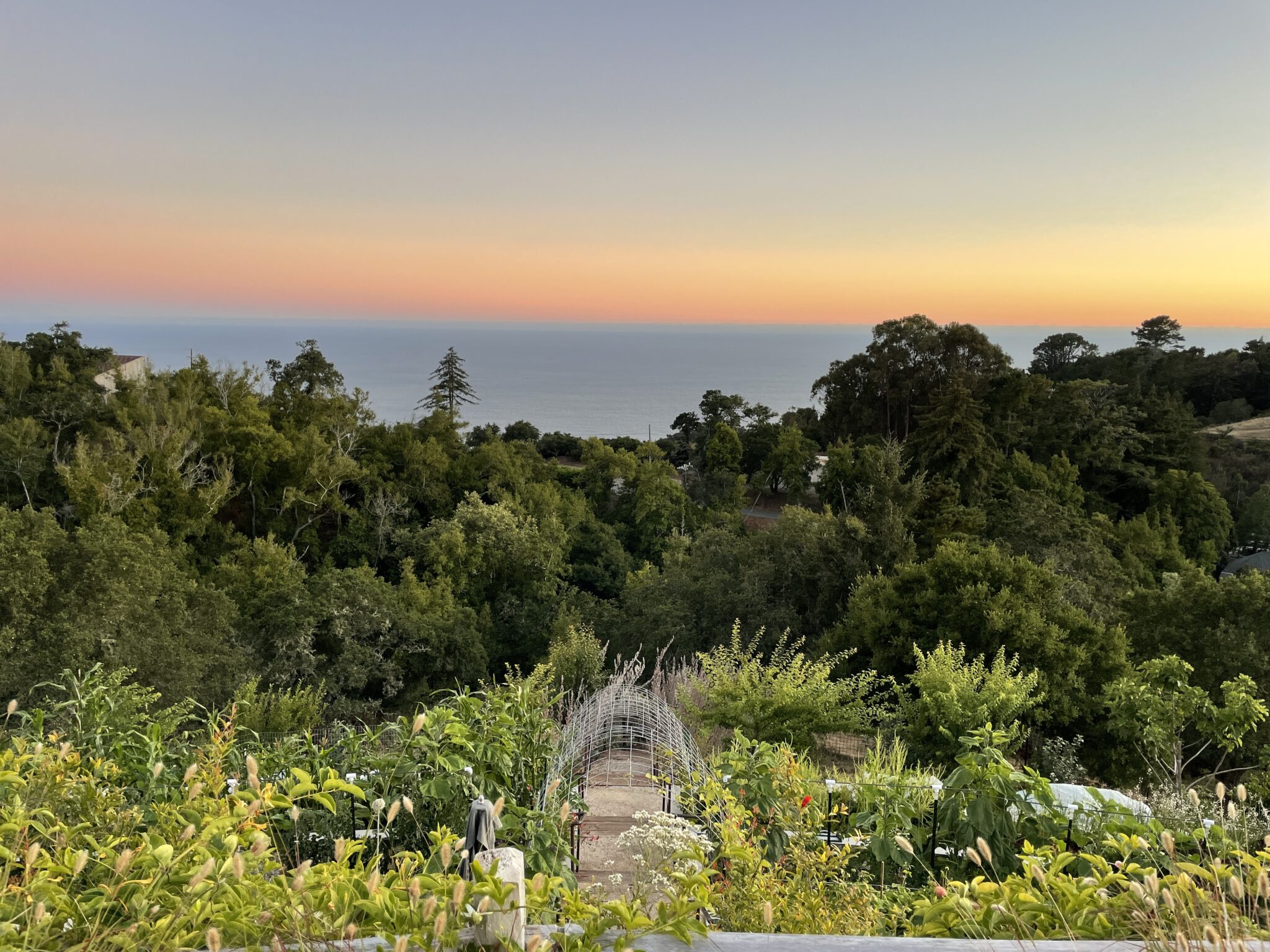 Ventana Big Sur August 2021 Review